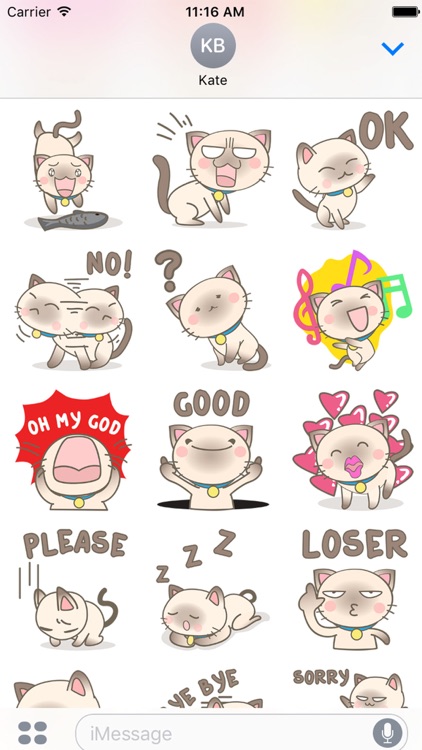 Simi the Siamese kitten 3 for iMessage Sticker