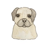 Download Watercolor Animal Stickers app