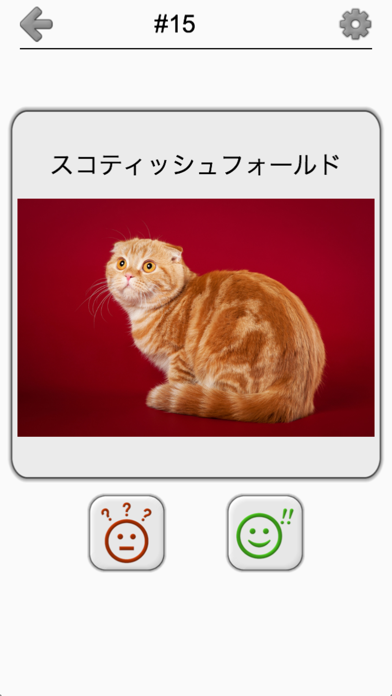 猫の品種: 猫のすべての人気のある品種につ... screenshot1