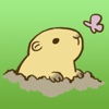 Lovely Groundhog Stickers Pack