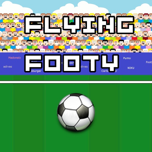 Flying Footy Icon