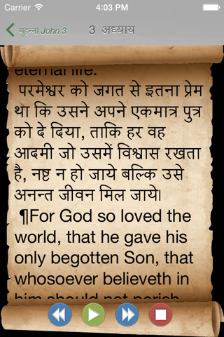 Mobile Hindi Bible screenshot 3