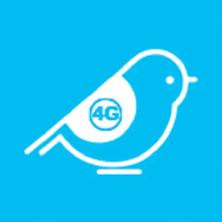 Birdie 4G Читы