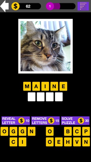 Domestic Cat Breed Quiz Maestro(圖2)-速報App