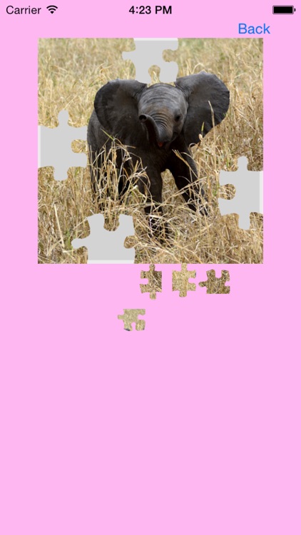 Elephants Jigsaw Puzzles with Photo Puzzle Maker