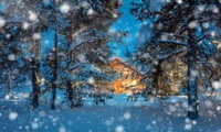 Snowy Window Winter Scene apk