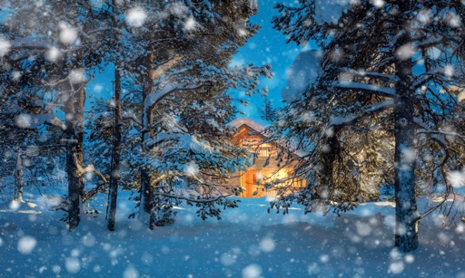 Snowy Window Winter Scene