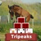 TriPeaks Horses