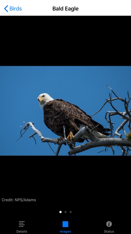 Yellowstone NP Field Guide screenshot-4