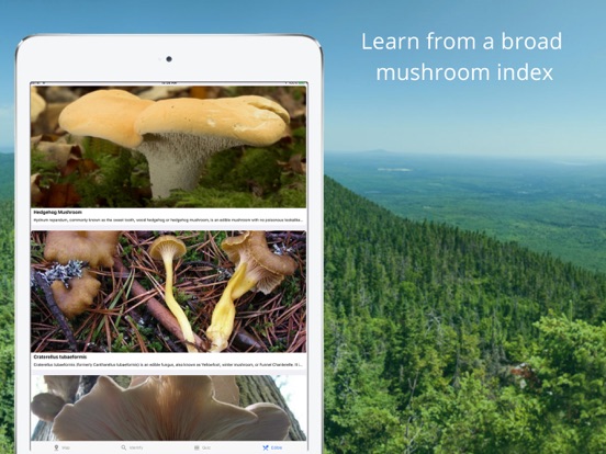 Mushroom Identificator screenshot 3