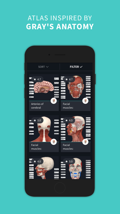 Complete Anatomy ‘23 Screenshot