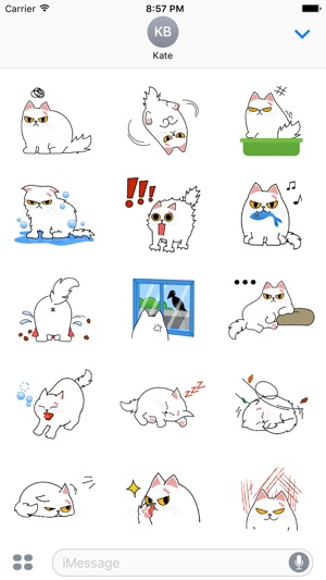 Cute Persian Cat Stickers Pack(圖2)-速報App