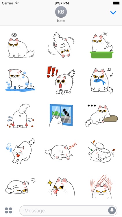 Cute Persian Cat Stickers Pack