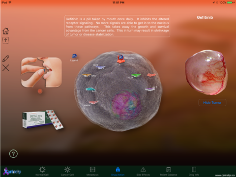 TKI Gefitinib screenshot 3