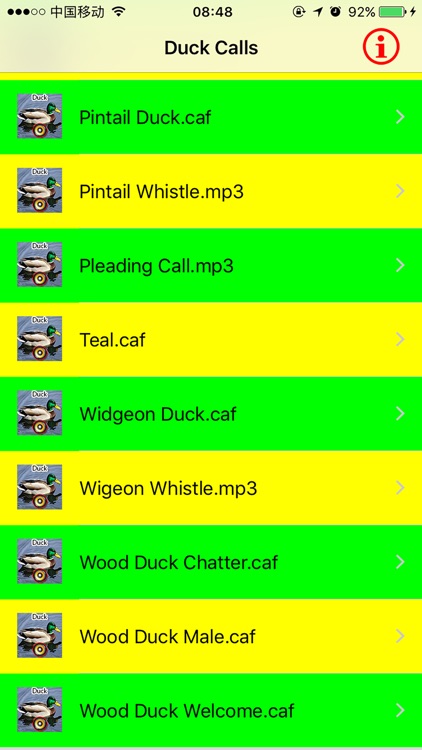 Real Duck Hunting Calls & Sounds