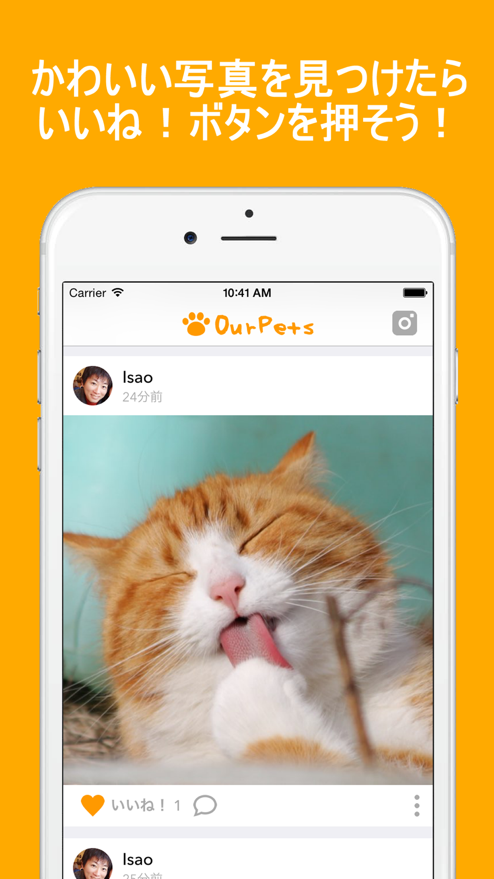 犬猫アルバムour Pets 犬や猫のかわいいペット写真共有アプリ For Iphone Free Download 犬猫アルバムour Pets 犬や猫のかわいいペット写真共有アプリ For Ios Apktume Com