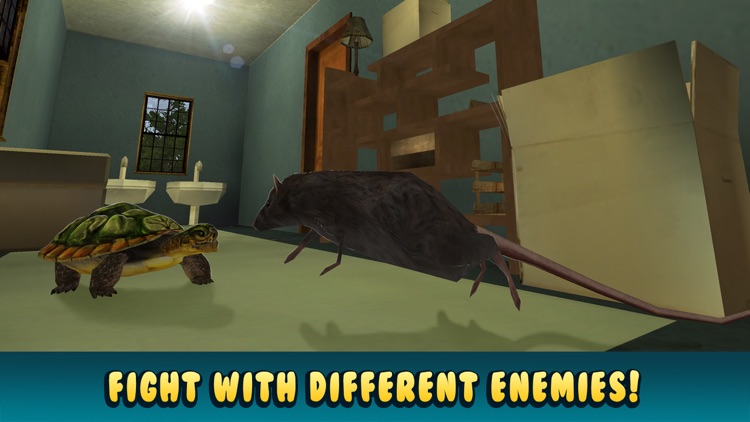 Turtle Simulator: House Pet Life