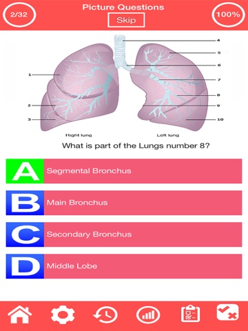 Human Respiratory System Quiz screenshot 2