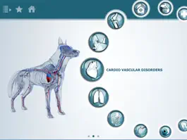Game screenshot VisioCare Consult apk