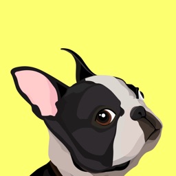 EveryDoggy - Dog Training App