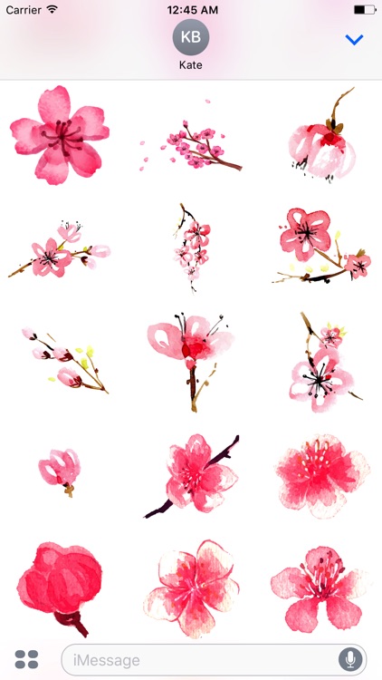 Watercolor Cherry Blossom Sticker Pack