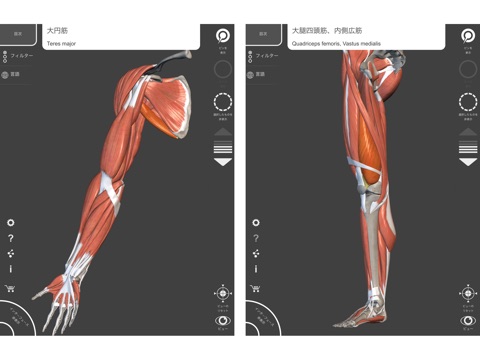 Anatomy 3D Atlas screenshot 4