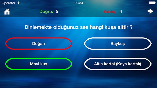 Kuş Sesleri(圖3)-速報App