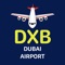 Icon Dubai Airport: Flight Info