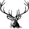 DeerMap - Revier & Jagd