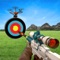 Are you in search of a real thrill in free Target shooting games