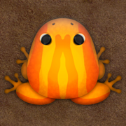 Pocket Frogs