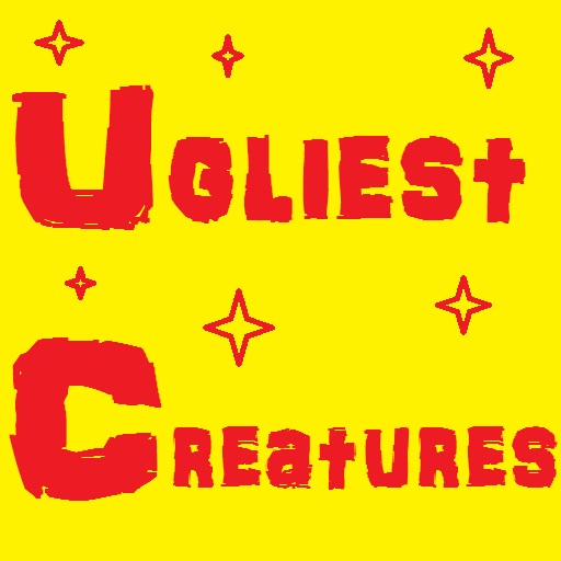 UgliestCreatures by Shibu Chacko
