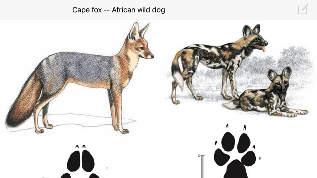 Mammals of the Southern African Subregion(圖5)-速報App