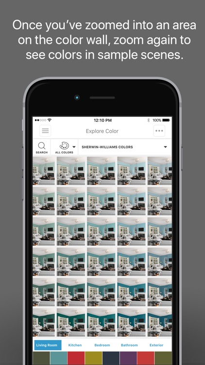 ColorSnap® Visualizer for iPhone
