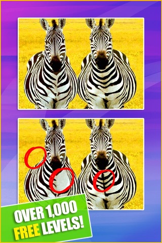 Spot the Differences! find hidden objects game screenshot 2