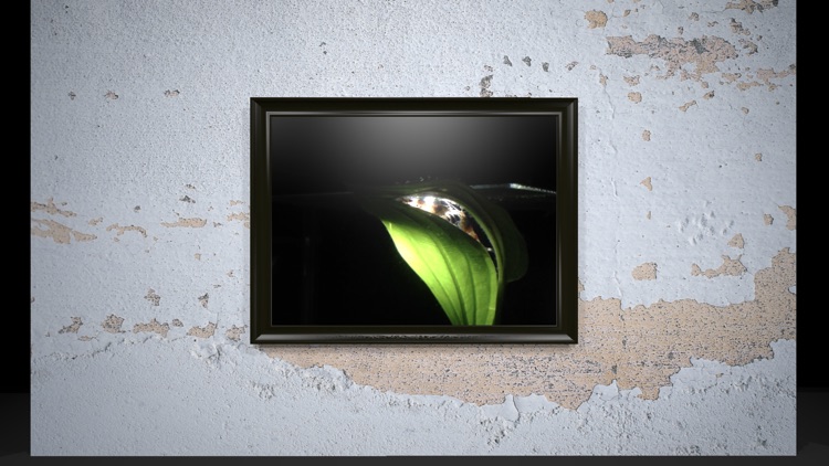Pocket Frame screenshot-4