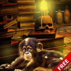 Activities of Escape Games Magician Monkey Cure
