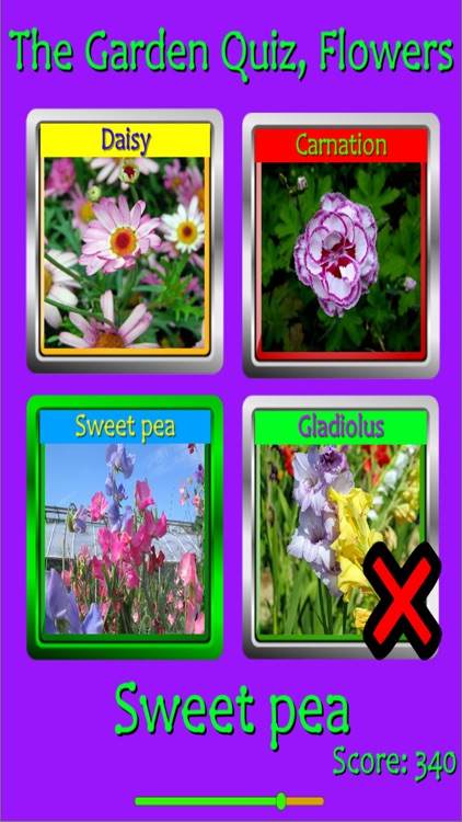 The Garden Quiz: Flowers screenshot-4