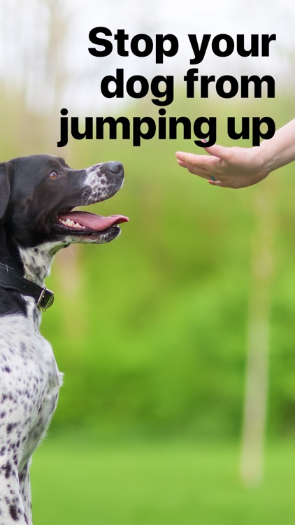 EveryDoggy - Dog Training App