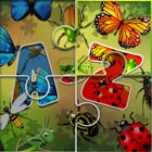 Jigsaw Puzzle for Insects