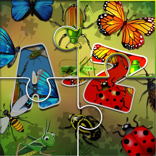 Jigsaw Puzzle for Insects