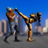 Kung fu Fighting: Robots