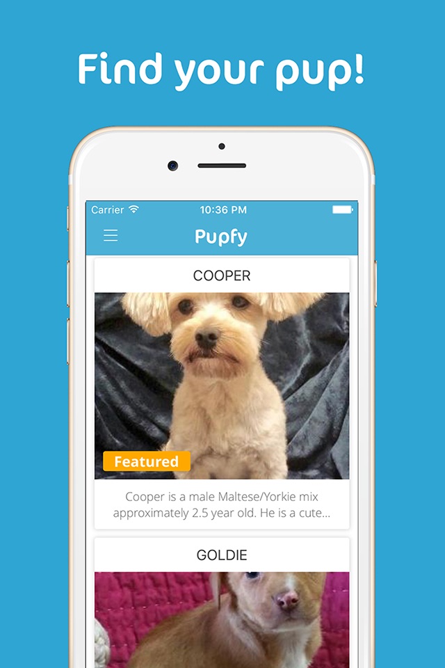 Pupfy - Find, Adopt & Rescue a Loyal Dog Companion screenshot 2