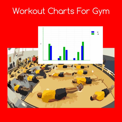 Workout charts for gym icon