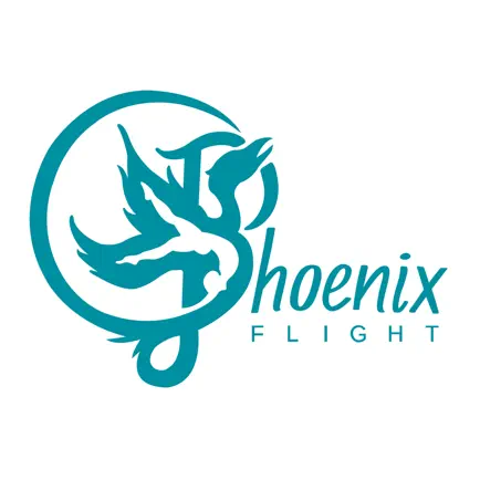 Phoenix Flight Studio Читы