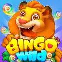 Bingo Wild - Bingo Games Story image