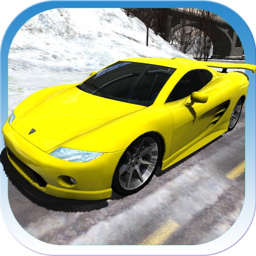 Sports Cars Racing Winter