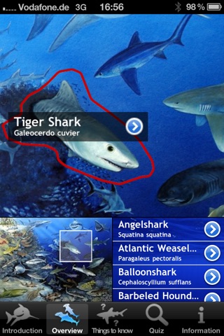 Sharks of the World screenshot 2