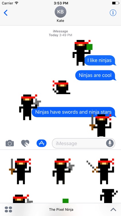 The Pixel Ninja