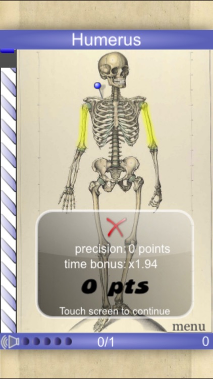 Speed Bones Lite (Quiz)